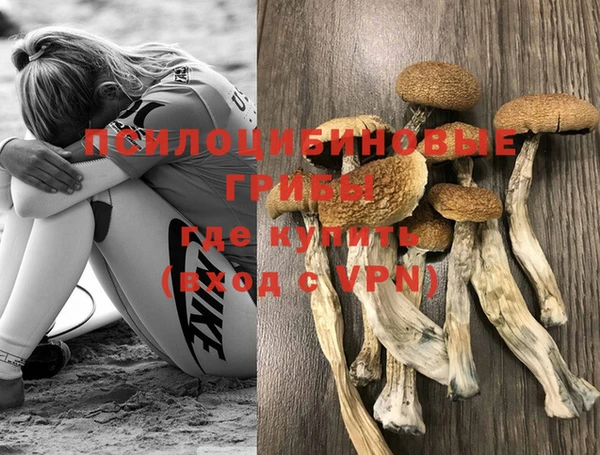 экстази Белокуриха