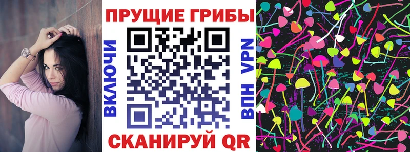 Псилоцибиновые грибы GOLDEN TEACHER  дарнет шоп  Котельниково 