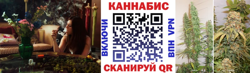 Бошки марихуана OG Kush Котельниково